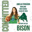 profile image for Amelia Ferguson
