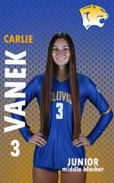 profile image for Carlie Vanek