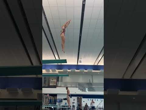 Video of Clarion Dive Clinic Aug. 11 & 13, 2023,