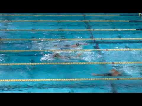 Video of 1650 Free