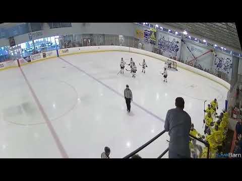 Video of Diving Goal Scored