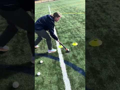 Video of Skills with some shooting 