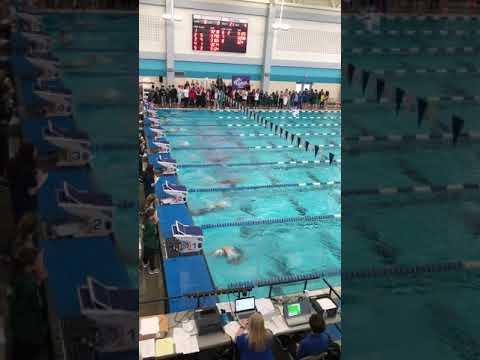 Video of 100 Breast SPC Finals