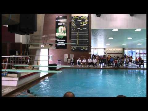 Video of Ellie Winslow 2016 OHSAA State Diving Championships 