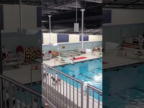 Video of Big Spring Bulldog Bash Dive Meet (12/27/23)