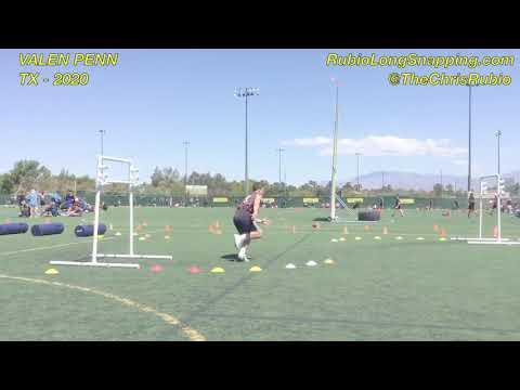 Video of Rubio Vegas XXXIV - Agility