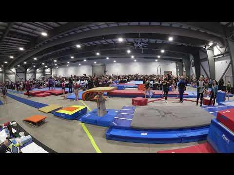 Video of Level 10 Vault -2024 Ontario Championships