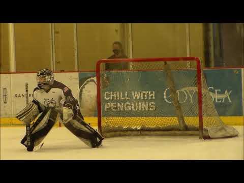 Video of NM Mustang 19U AA Goalie Saves Part 2