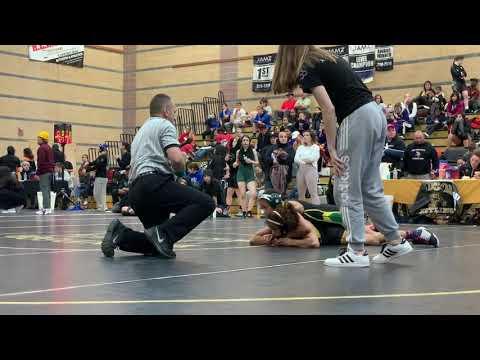 Video of 2020 Goddess of the Vine Championships Quarterfinals