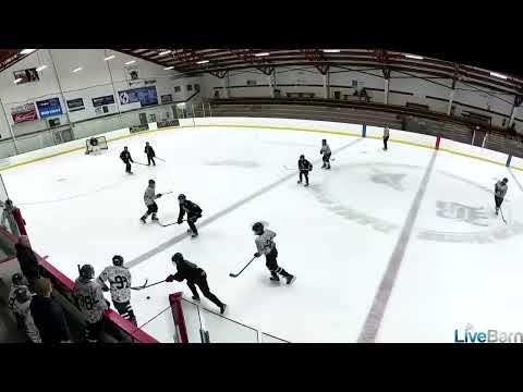 Video of Bantam Goal 2024-2025 Season