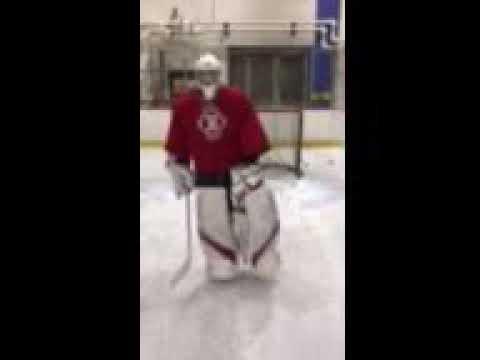 Video of Crease movement 