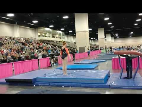 Video of Level 9 Vault