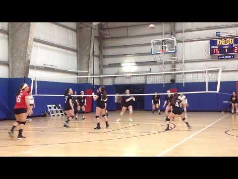 Video of Virginia Lilly Setter 2021