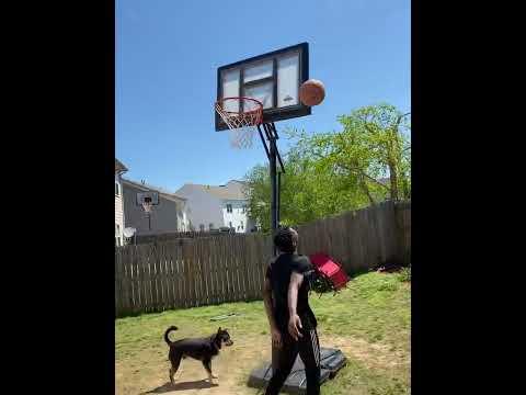 Video of Tobi - Backyard B-Ball - Attempt 360 Lay-up 