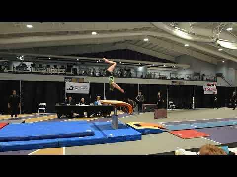 Video of Elizabeth Blessey // Eastern National Vault Champion 2022 // 9.75