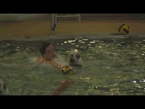 Video of Mason’s water polo scrimmage