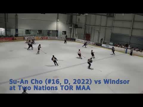 Video of #16 Su-An Cho (D, 2022) U16 St. Louis Lady Blues 19-20 Season Offense Zone Play Highlights