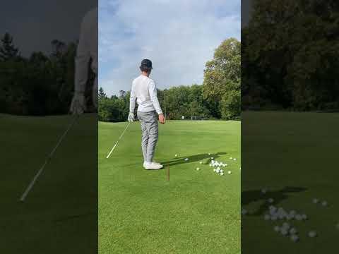 Video of Chipping, 56 degree wedge, 8 iron, Driver Swings