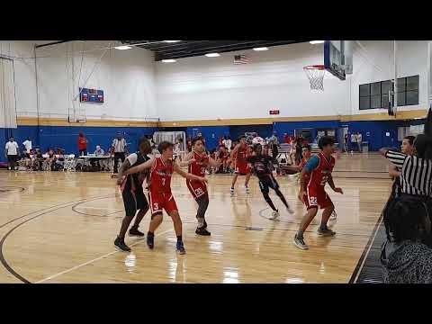 Video of Best Shots season 2022