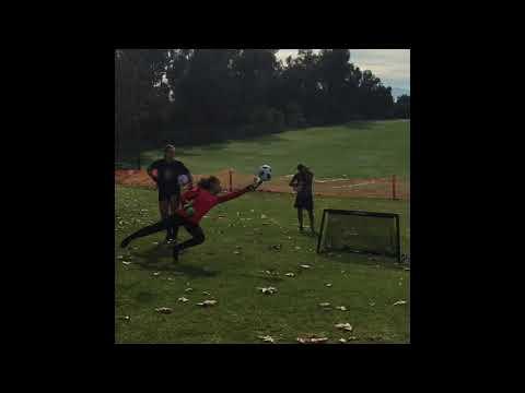 Video of Freshman Savanna Keeper Training #2