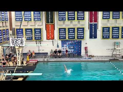 Video of 3M 9-dive meet