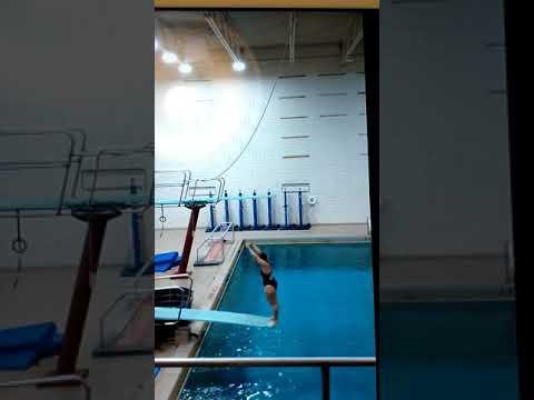 Video of Back Dive Straight 201A