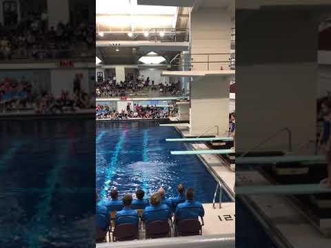 Video of Forward 2.5 SS Tuck - MN State Championships