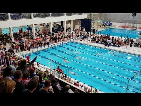 Video of March 1, 2020  Cael Long Lane 3 Gold Medalist PIAA District 6 Swimming Champs at Penn State University