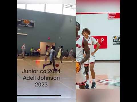 Video of Adell Johnson Co’2024 Combo guard 