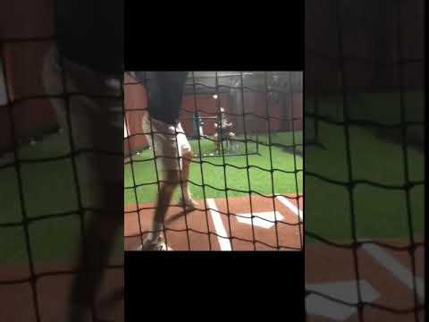 Video of Cage Workout