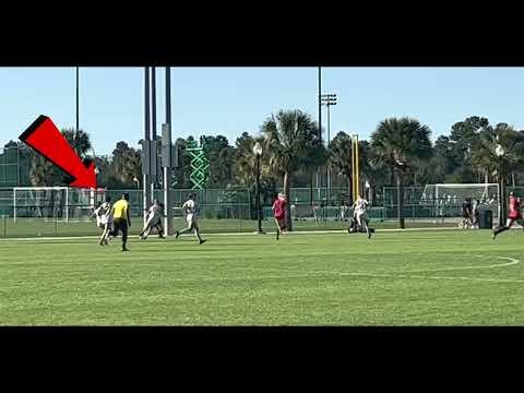 Video of Ally Longo - Early Spring 2022 Highlights