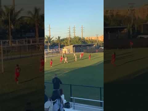 Video of Goal 