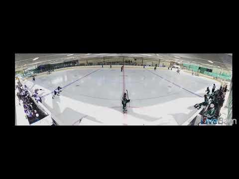 Video of Goal Against Glenwood Grizzlies Varsity