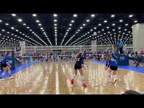 Video of Madison Roar Setter 2023