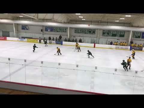 Video of Olivia Sliwa - Goal - January 2018