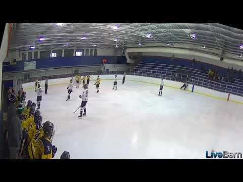 Video of Team CSDHL Afton Americans U15. #56 is me.