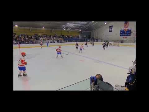 Video of Liam (# 4) goal in State Quarter Final Game