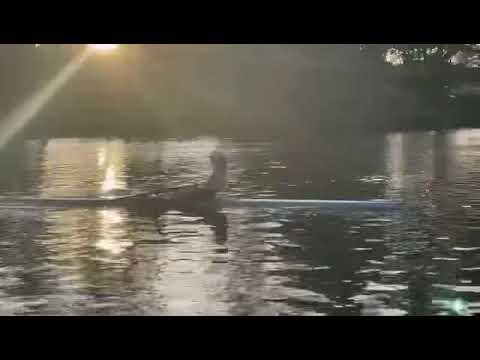 Video of Single Sculling 2023 Berry Rowing Camp