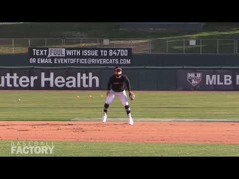 Video of Baseball Factory Workout