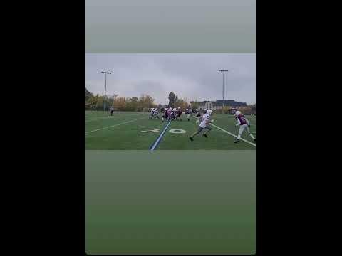 Video of Alex Borizki Spring Season Highlights 2021-2022 York Lions Quarterback
