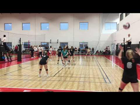 Video of Shelby Veenstra, Setter