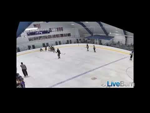 Video of Liam Rush goal vs Av's