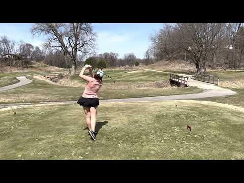 Video of 9 Iron