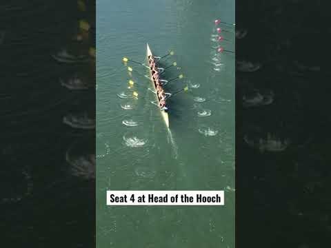 Video of Head of the Hooch