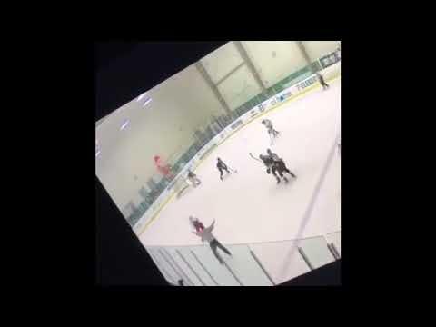 Video of Travel Hockey Goal