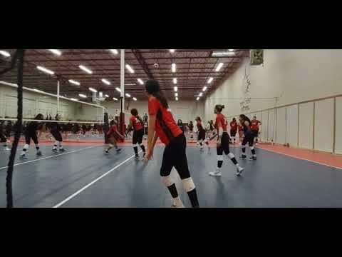 Video of Tx Image Panther Classic- Samya Long DS Highlights