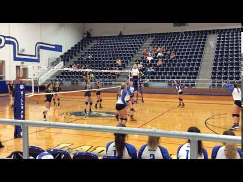 Video of Claire Hiler # 12