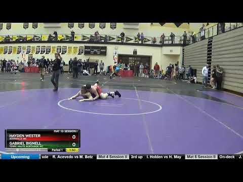 Video of 2019 Freestyle/Greco State