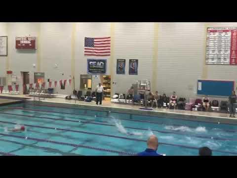 Video of 50 fly. 32 seconds 