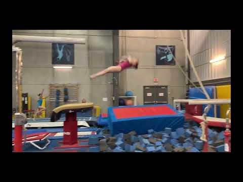 Video of Training and Competition Highlights